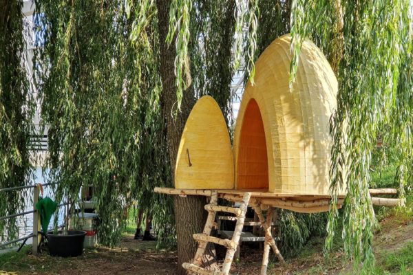 In Hamburg zeigt der Künstler Terence Koh seine Installation "Bee Chapel HafenCity" - ein utopischer Ort für die Begegnung zwischen Mensch und Natur