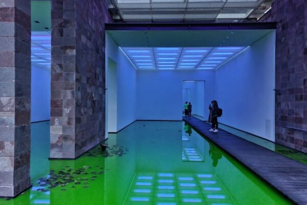 Auf Stegen aus dunklem Holz können Besucher durch die mit fluoreszierendem Wasser gefluteten Museumsräume gehen.