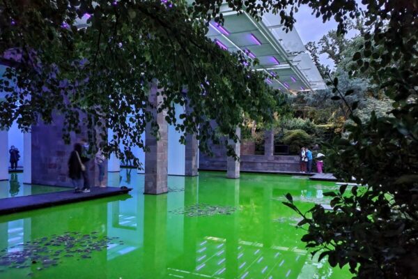 Bei Tag schimmert das Neon-Grün eingefärbte Wasser im Licht; in der Nacht entwickelt sich die Installation zu einer fluoreszierenden Landschaft.