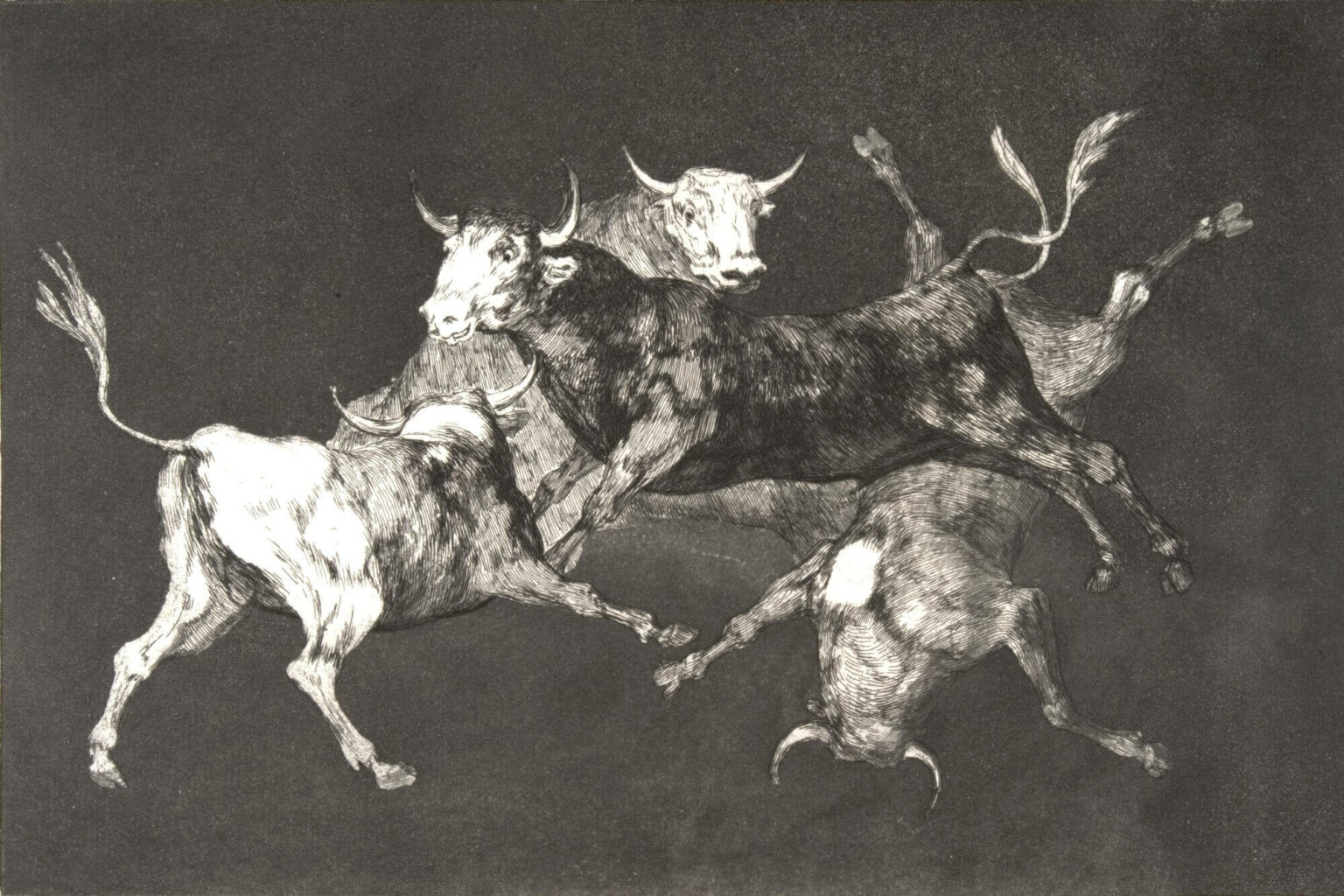 Francisco de Goya in der Fondation Beyeler musermeku