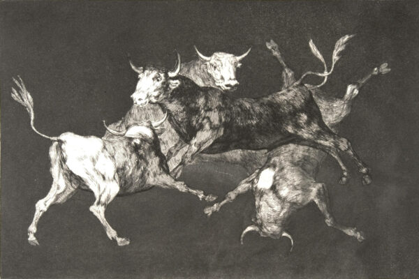 Francisco de Goya in der Fondation Beyeler musermeku