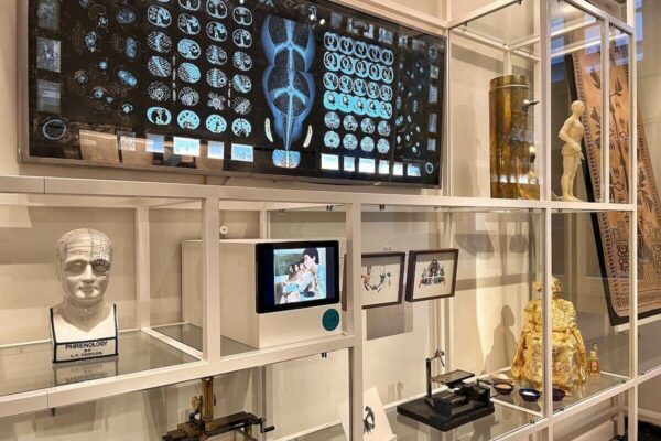 In seiner Dauerausstellung bietet das Dolhuys einen Blick in die Medizingeschichte. Hierzu gehören historische Objekte aus verschiedenen Kulturen.