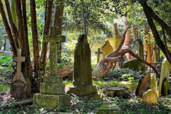 Ein erheblicher Teil des 1839 gegründeten Highgate Cemetery ist heute verwildert; einige Gräber auf dem Westfriedhof sind von Bäumen und Sträuchern überwachsen.