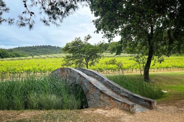 Auf dem Kunst-Wanderweg des Château La Coste, dem Art Walk, trifft man auf diverse Kunst-Installationen bekannter Kunstschaffender, etwa die Brücken "Donegal" (2013) von Larry Neufeld.