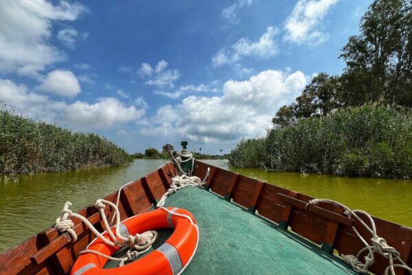 Bei einer Bootsfahrt kann man den Albufera-See erkunden. Besonders die heimischen Vogelarten lassen sich so aus der Nähe betrachten.