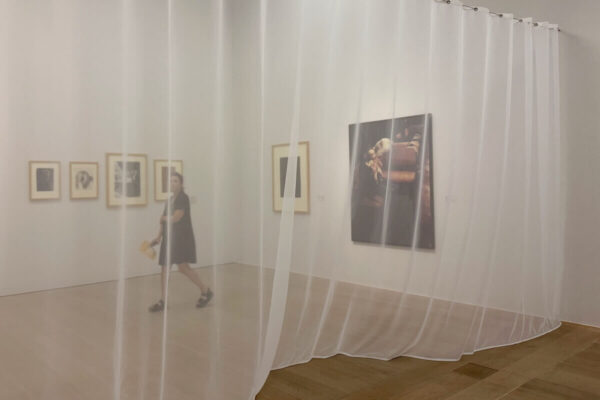 In der Ausstellung werden Werke aus der Sammlung der Kunsthalle gezeigt, die bisher selten oder noch nie zu sehen waren, ergänzt durch Leihgaben zeitgenössischer Künstlerinnen.