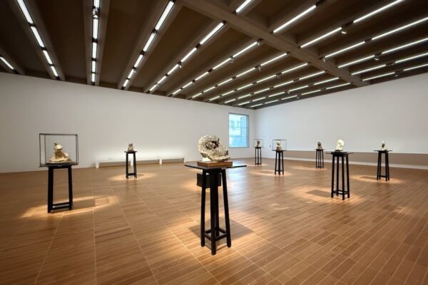 Medardo Rosso bevorzugte für die Präsentation seiner Skulpturen ganz bestimmte Vitrinen und sogenannte "gabbie" (dt.: Käfige). Diese zeigt auch das Kunstmuseum Basel in seiner Ausstellung.