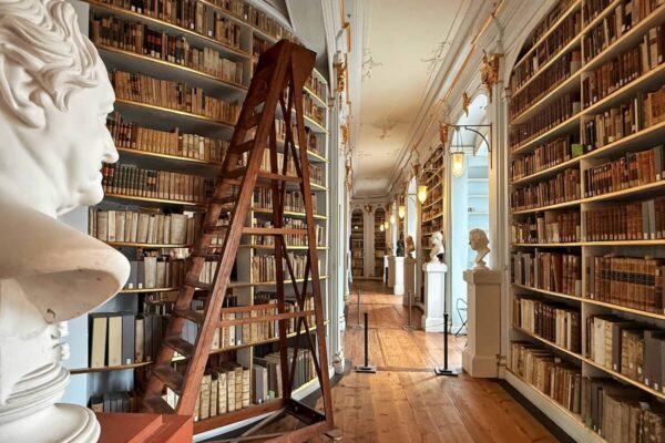 Im Rokokosaal wurde 1831, zum 82. Geburtstag von Goethe, eine Kolossalbüste zu Ehren des Dichters enthüllt.