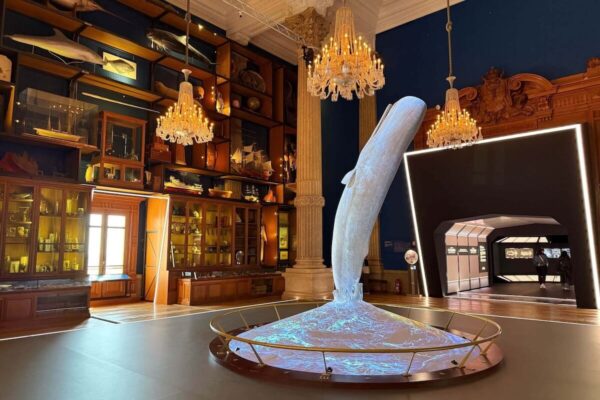 Die Installation eines 4 Meter hohen Wals im Ausstellungsabschnitt „Oceanomania“ reagiert auf Besuchende und zeigt wissenswerte Infos zum Mittelmeer.
