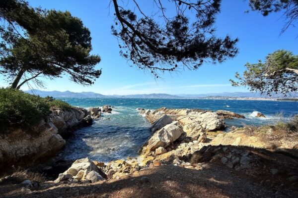 Die Insel-Fähre pendelt mehrmals am Tag zwischen der Île Saint-Honorat und dem Hafen von Cannes.