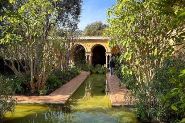 Im Spanischen Garten wachsen Grantapfel-Bäume, Papyrus aus Ägypten und große Monstera-Pflanzen.
