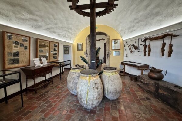 Das Musée de l’Olivier: Das Olivenmuseum zeigt Exponate rund um den mediterranen Oliven-Anbau und die Olivenöl-Herstellung.